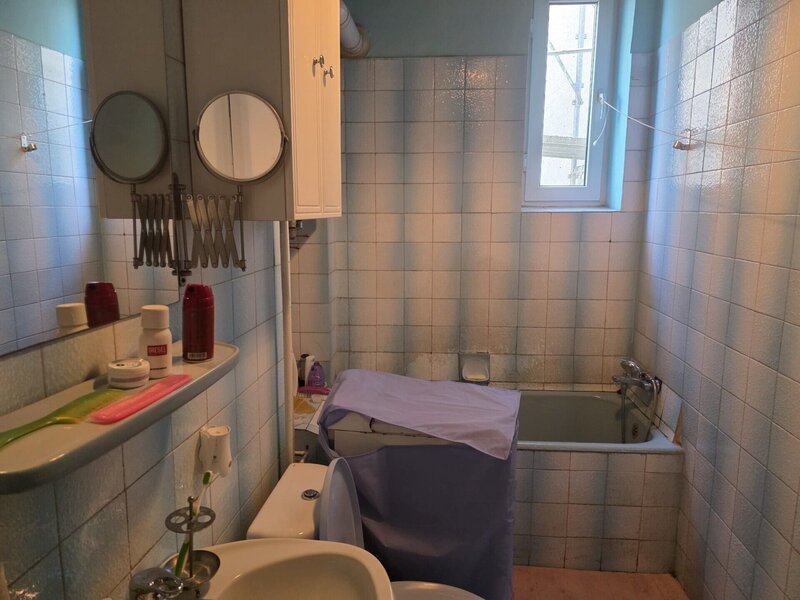 Iancului Ferdinand apartament spatios in vila